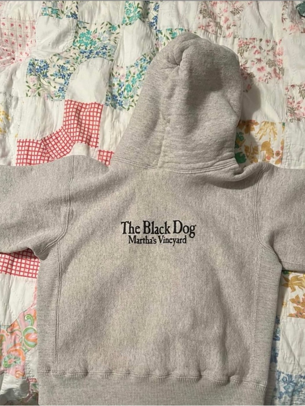The Black Dog Kids Hoodie in Heather Gray with Black Logo